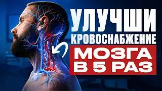 Улучшил кровоснабжение мозга – 2 секретные точки!