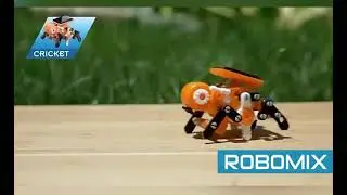 WhatsApp Video 2022 02 23 at 10 16 42