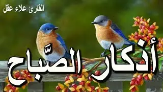 أذكار الصباح لتحصين البيت و طرد الشيطان,  القارئ علاء عقل | Morning Athkar - Dzkir Pag