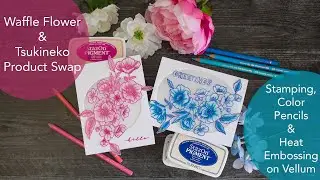 How to Stamp, Color & Heat Emboss on Vellum