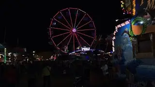 The Grape Festival