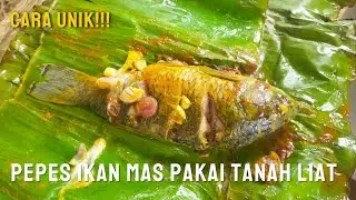 PEPES IKAN MAS MEMAKAI TANAH 