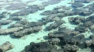 Hamelin Pool
