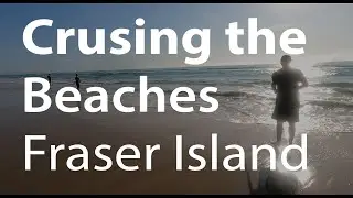 Cruising the Beaches Of Fraser Island Sight Fishing - Spotting Schools Of Fish | Fraser Fishing