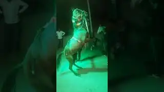 Gold Green horse dance#music song#whatsapp song#whatsapp status#video song#status#special festival