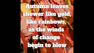 Autumn Leaves ❤️#quote #motivationalquote #autumn