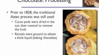 PSYC2050 Week 9 Lecture Essentials - Xanthines