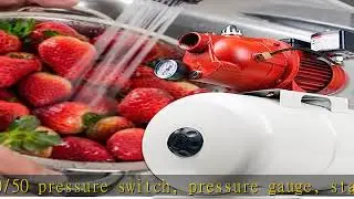 Red Lion RL-SWJ50/RL6H Dual Voltage (115/230 V) 1/2 HP Shallow Well Jet Pump/Tank Combo 12.6 GPM Ca