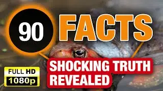 90 Random Facts That Will Totally Blow Your Mind!