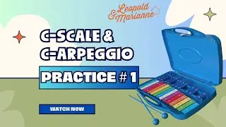 #practice | How to play the C-Scale & C-Arpeggio in your #xylophone | #tutorial | Learn Step by Step