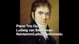 Beethoven- Piano Trio Op.1#1 (3rd movement) Reintamm/Leibur/Tammesalu