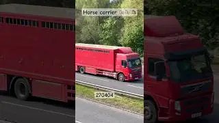 Big Horse Carrier Truck 🚛🐴 On the Move | UK Roads #HorseTransport #BigTruck