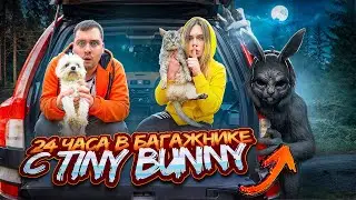 24 ЧАСА В БАГАЖНИКЕ С TINY BUNNY и котами