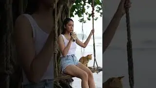 Beach & My Cat After Rain ☁️🐾 #shorts #catonbeach #afterrain #beachvibes #aivideo