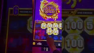 #dog #slot #dragonlink #casinogame #casino #gamblingmachine #gamblinggame #jackpot #gambler