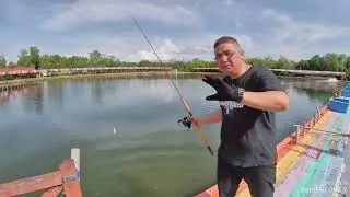 Kolam memancing tuaran 2