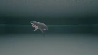 VR180 Simple Shark Animation Blender EEVEE