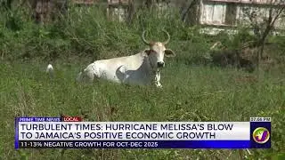 Turbulent Times: Hurricane Melissa's Blow to Jamaica's Positive Economic Growth | TVJ News