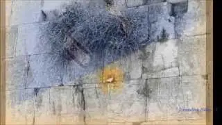 INNA ROGATCHI. JERUSALEM.  MY STONES