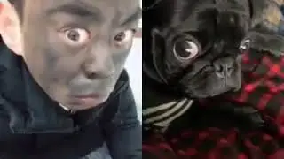 Pinoy Funny Videos Compilation 2019   Must Watch