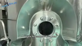 Bailun mammalian cell culture bioreactor stainless steel fermentor #bioreactor #fermenter
