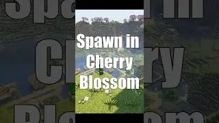 Minecraft 1.21.4 Beautiful Seed that Spawns in Cherry Blossom Biome