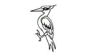 How to draw a Woodpecker | How to draw birds Drawing | Easy step by Step Drawing for kids
