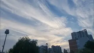 花海 | 中文歌曲 | G