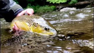 Self Viseolation: The Sequel - Flies on the Fly - Quick to Tie Flies & Tying Hacks