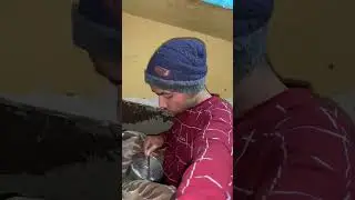 meri tabiyat kharaab ho gayi 🤕#shorts #minivlog #dailyvlog