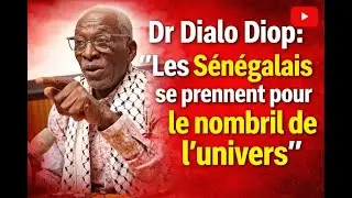 LE SENEGAL, TRAITRE A L'AFRIQUE ? - DR DIALO DIOP CRITIQUE LE NARCISSISME DU SENEGALAIS