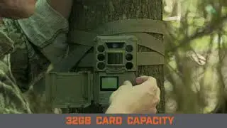 Bushnell Core Low Glow and No Glow Trail Cameras