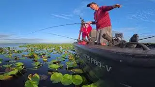BEST FISHING LIVESTREAM IN THE WORLD P2