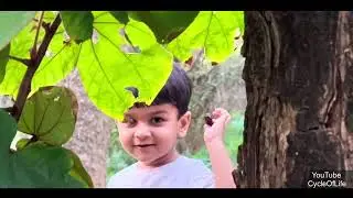 Areen in Nanded City Eco Park