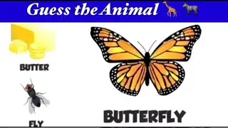 Kids quiz @Pinkfong @LittleBabyBum @babybus @kidschannelindia @kidstv @toyorbabytv