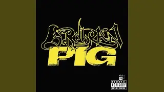 PIG