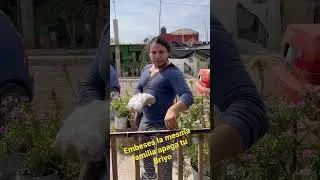 Cuando la familia apaga el Briyo #trevorius #humor