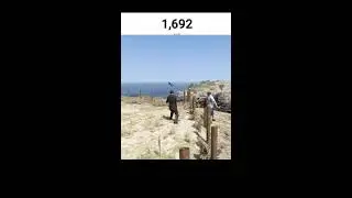 GTA 5 LIVE
