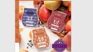Scentsy Harvest Collection - wax trio