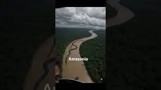 Amazon #island#snake#anaconda