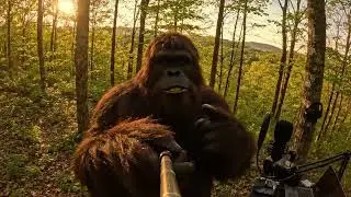 Bigfoot's Forest Podcast: Wolf Joke Special