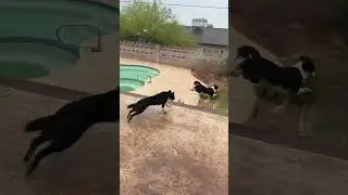 Rainy day shenanigans