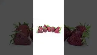 #strawberrytimelapse #timelapse #timelapsevideos #timelapsejourney #timetravel