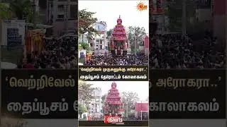 Palani | Dhandayuthapani Temple | Crowd | Devotees | Chariot | Sun News