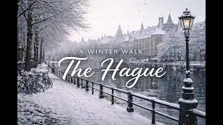 Snowy Hague: Art & History Beyond the Beach (Jan 2026) A Winter Walk #travel #europe #beach