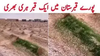 Azab e Qabar Ka Waqia | Qabristan Ka Waqia |ALLAH Ki Qudrat | Khuda Ka Mojza Miracle Karshima Video