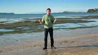 LNBB Ep 5 infomercial