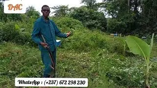 Comment laisser son terrain/champ en jach&egrave;re tout en gagnant de l'argent sur le m&ecirc;me terrain??