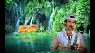a tribute to tom selleck's moustache