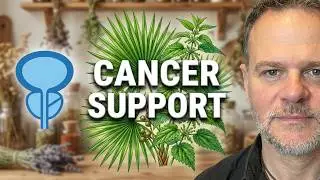 Prostate Cancer Support: Natural & Medical Approaches | Men&rsquo;s Health Hub by The Wild Sage